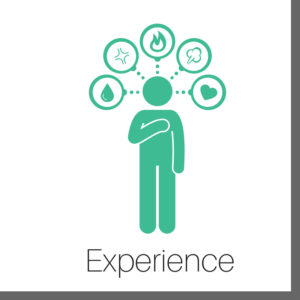 Experience